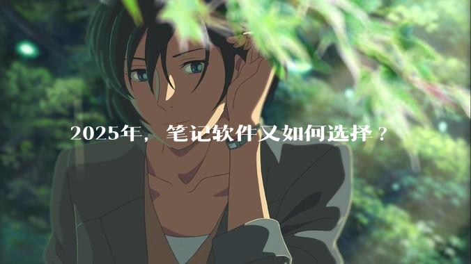 2025年，笔记软件又如何选择?